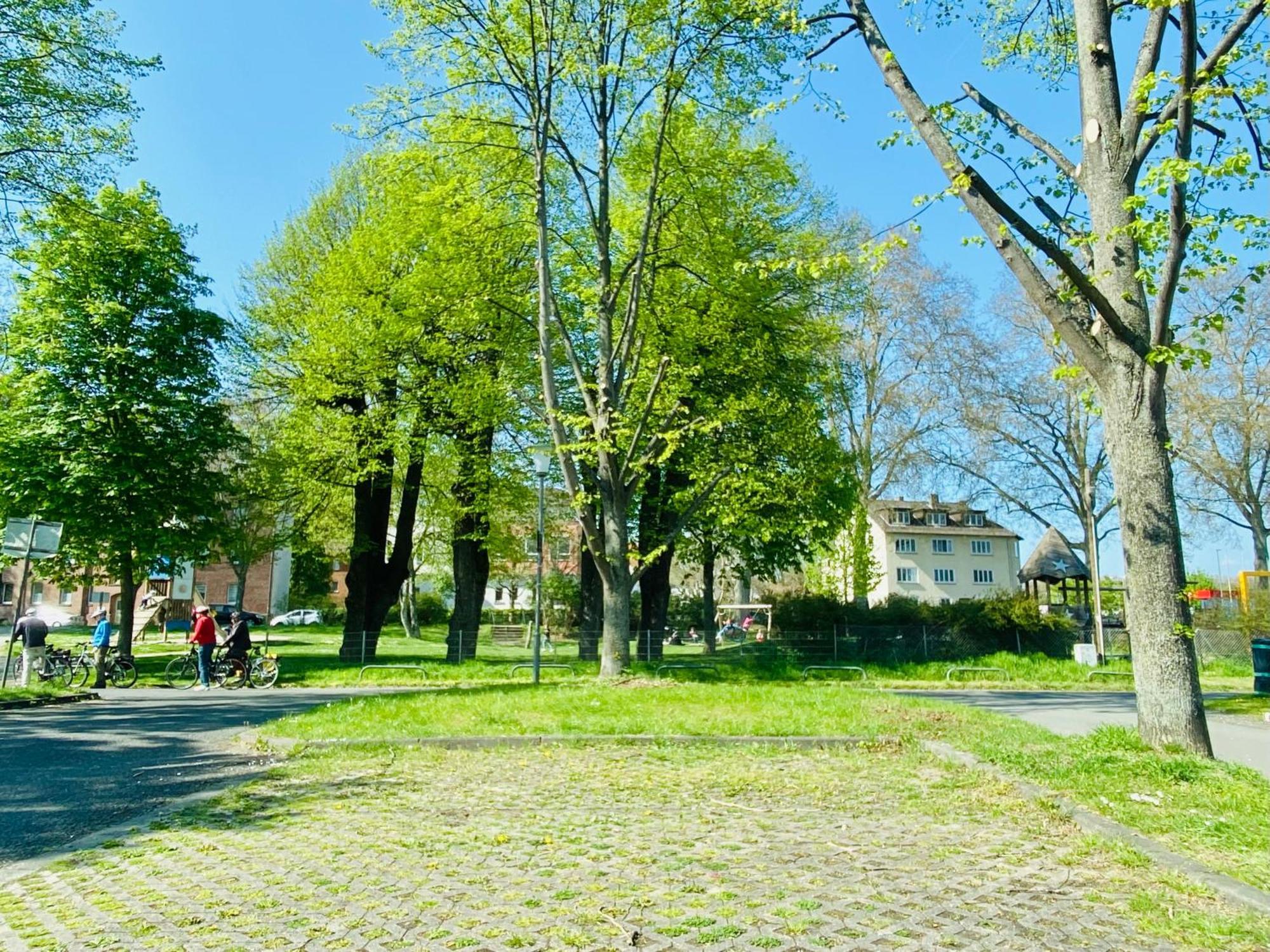 Kassel: Alles, Was Du Brauchst! ภายนอก รูปภาพ